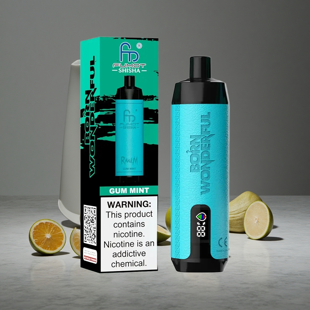 Mētru Smaržu Kombinācija RandM Fumot Shisha 10000 Pūši LED Indikators Type-C Port