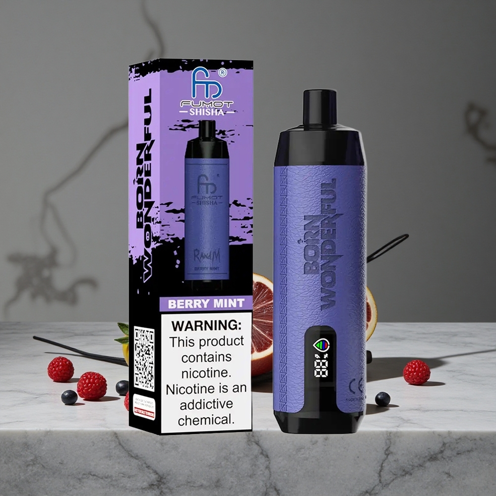 Ogļu Mētranda RandM Fumot Shisha 10000 Puffs Vienreizlietojamais Vape 18ml Iepildīta e-šķidruma 850 mAh Baterija